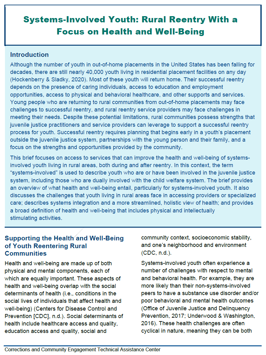 Systems-Involved Youth: Rural Reentry With a Focus on Health and Well-Being Cover