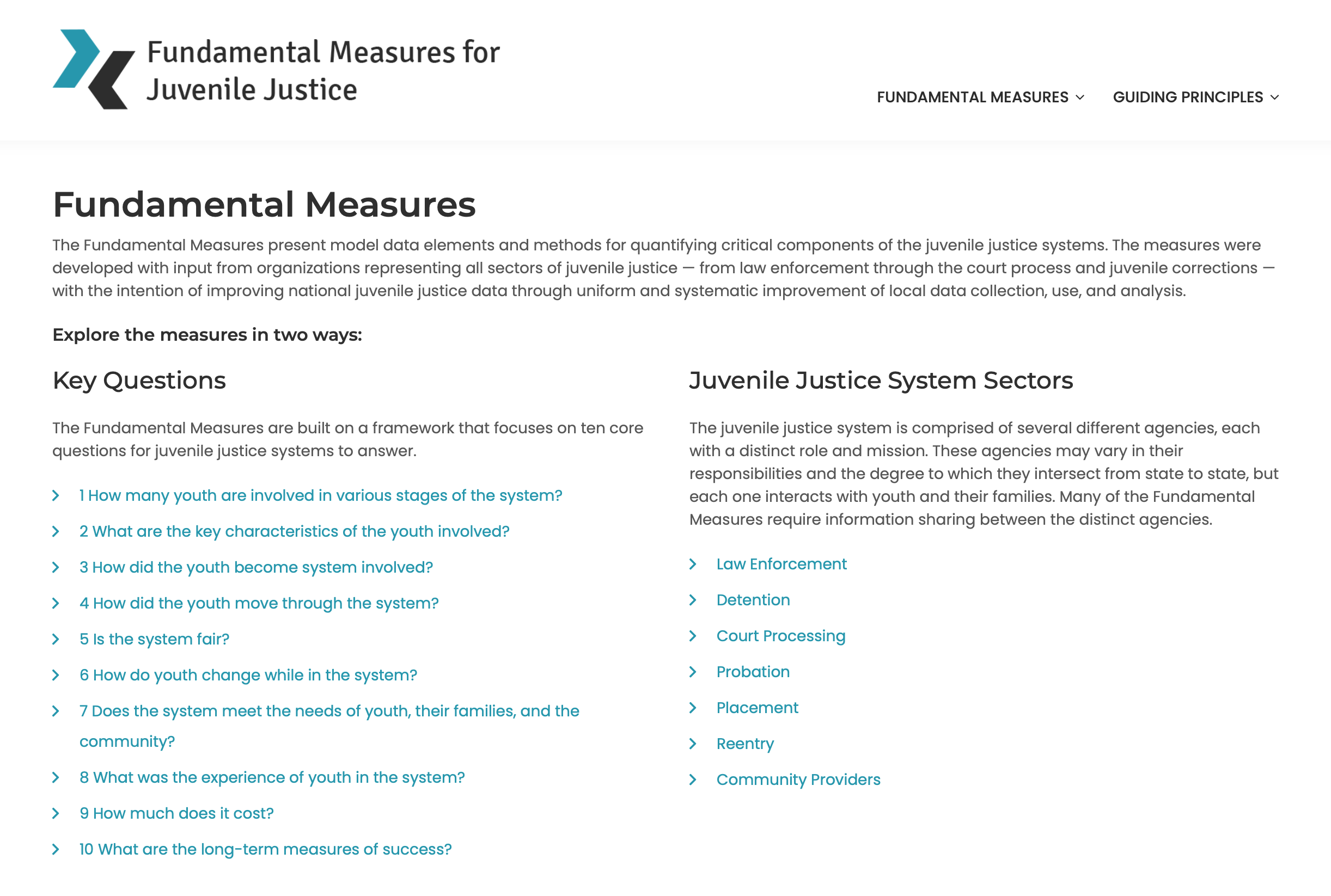 Fundamental Measures for Juvenile Justice homepage image