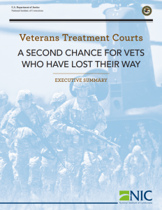 Veterans Treatment Courts report cover