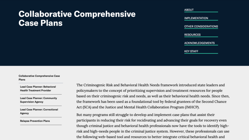 Collaborative Comprehensive Case Plans website image