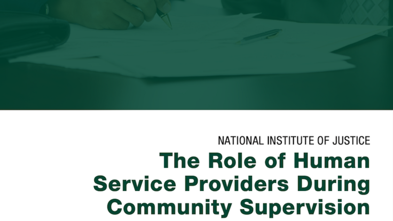 The Role of Human Service Providers cover image