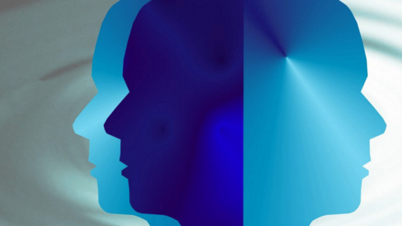 Icon of a face revolving from left to right