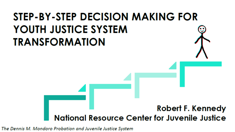 Step by Step Decision-Making for Youth Justice System Transformation Cover