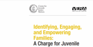 IEEF Cover