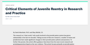 Critical Elements of Juvenile Reentry article screenshot