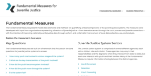 Fundamental Measures for Juvenile Justice homepage image
