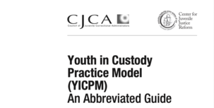 Youth in Custody Practice Model Guide cover image
