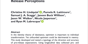 When Pre-Release Optimism Meets Post-Release Reality article cover
