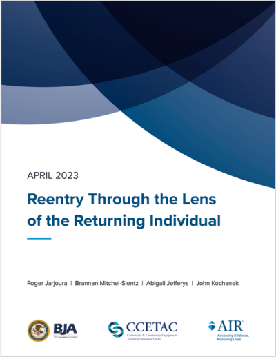 Reentry Through the Lens of the Returning Individual cover image